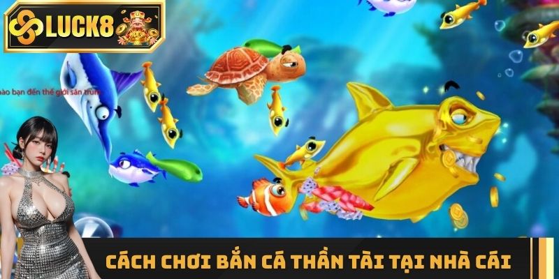 Các bước để bắt đầu chơi Bắn Cá Thần Tài tại nhà cái