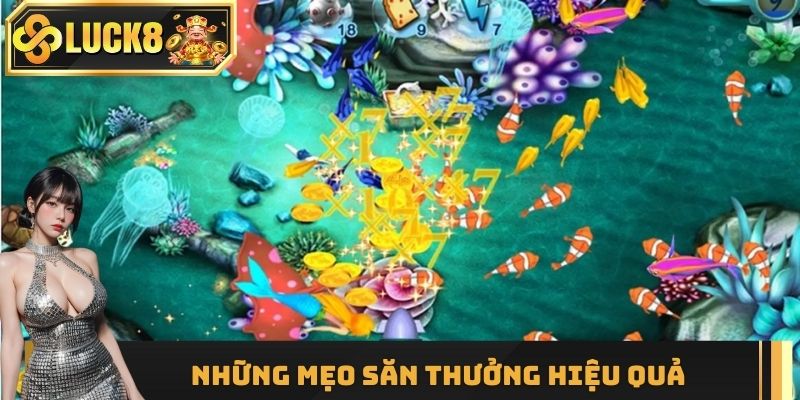 Những mẹo săn thưởng hiệu quả từ ngư thủ